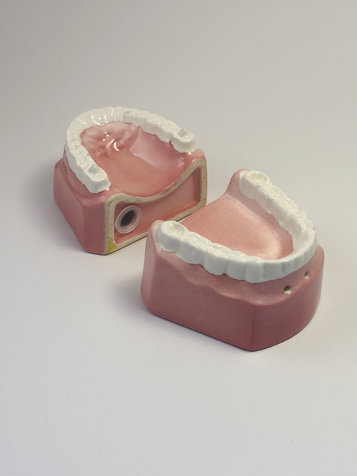 Denture Salt & Pepper Shakers